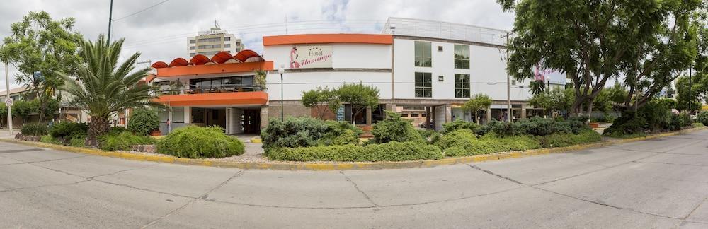 Hotel Flamingo Irapuato Eksteriør billede