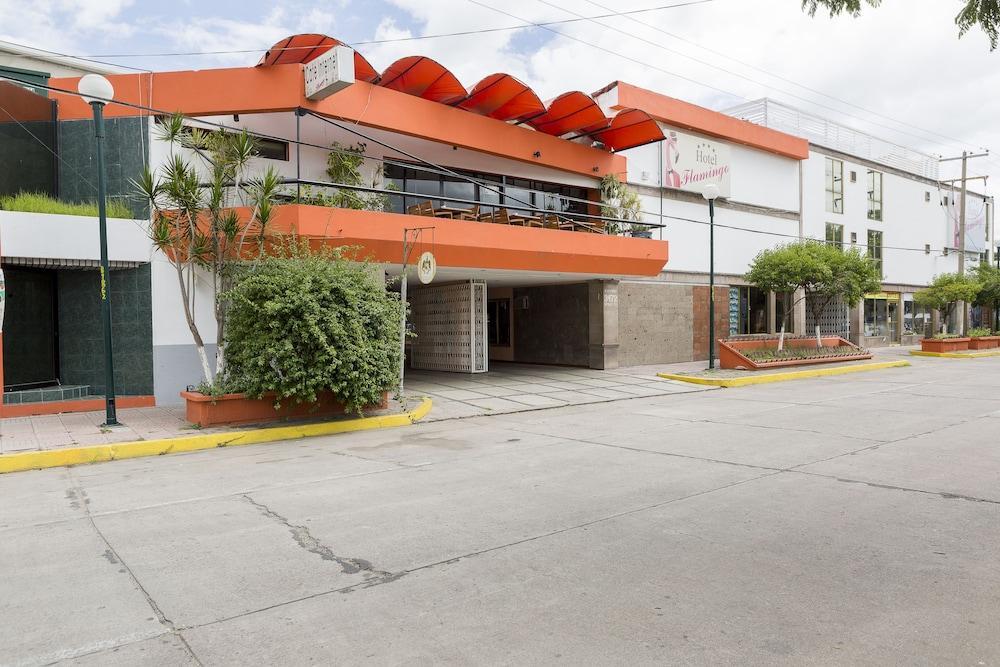 Hotel Flamingo Irapuato Eksteriør billede